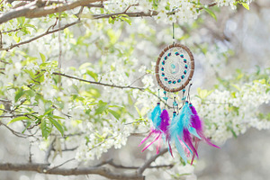 Dreamcatcher hanging on tree