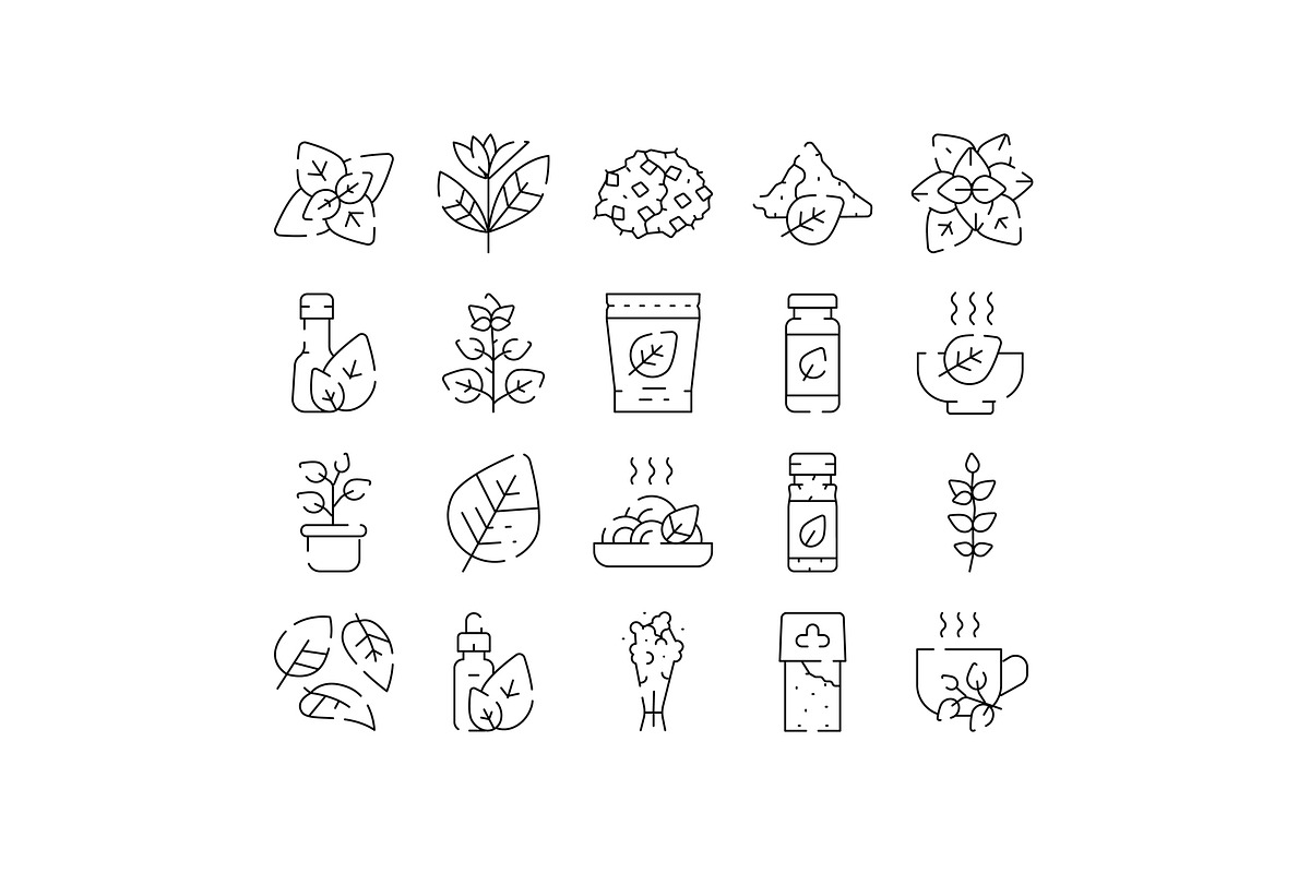 Stevia natural sweetener plant, an Object Graphic by pikepicture (Photo 1 of 3)
