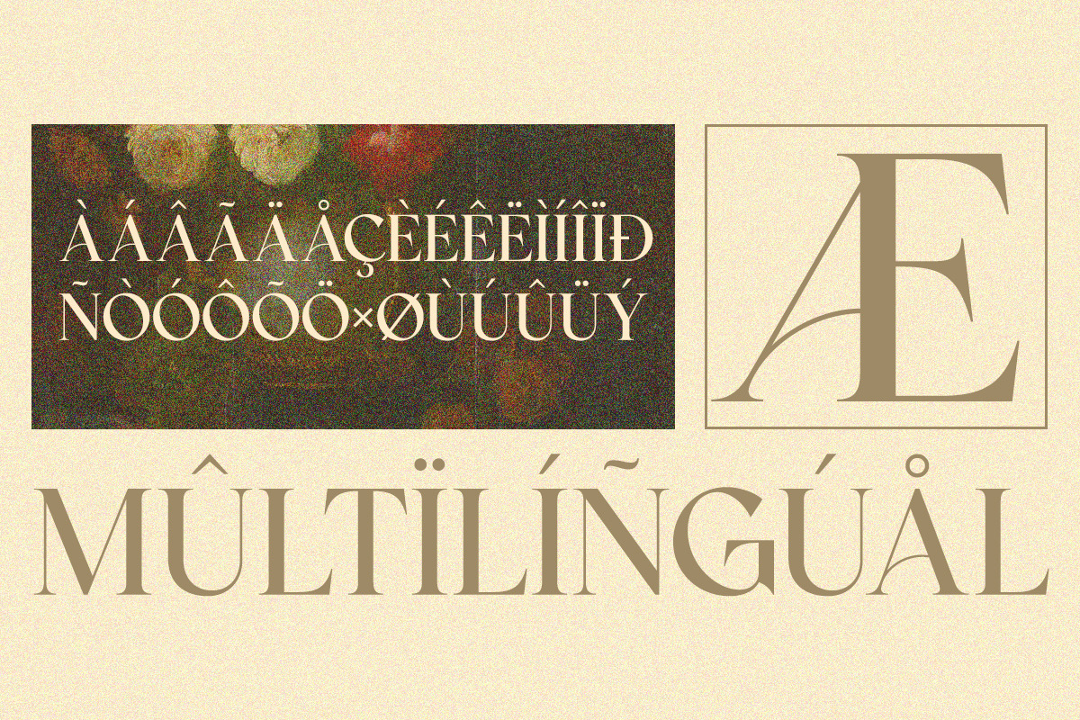 Qasela - Retro Stylish Serif Font, a Serif Font by Qweera Studio (Photo 12 of 12)