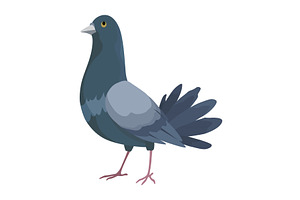 City bird, icon. European colorful, an Animal Illustration by the8monkey