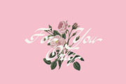 ED Balsamine script font, a Script Font by Emyself Design (Thumbnail 11 of 12)
