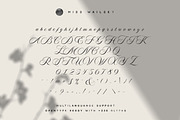 Miss Wailsey | Organic Calligraphy, a Script Font by It's Latsayz (Thumbnail 7 of 7)