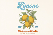 Retro Summer Lemon Fruit PNG, a Seasonal Illustration by Canvas Craft (Thumbnail 1 of 7)