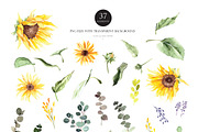 Watercolor flower - Summer Sunflower, an Illustration by Beigetime (Thumbnail 7 of 9)
