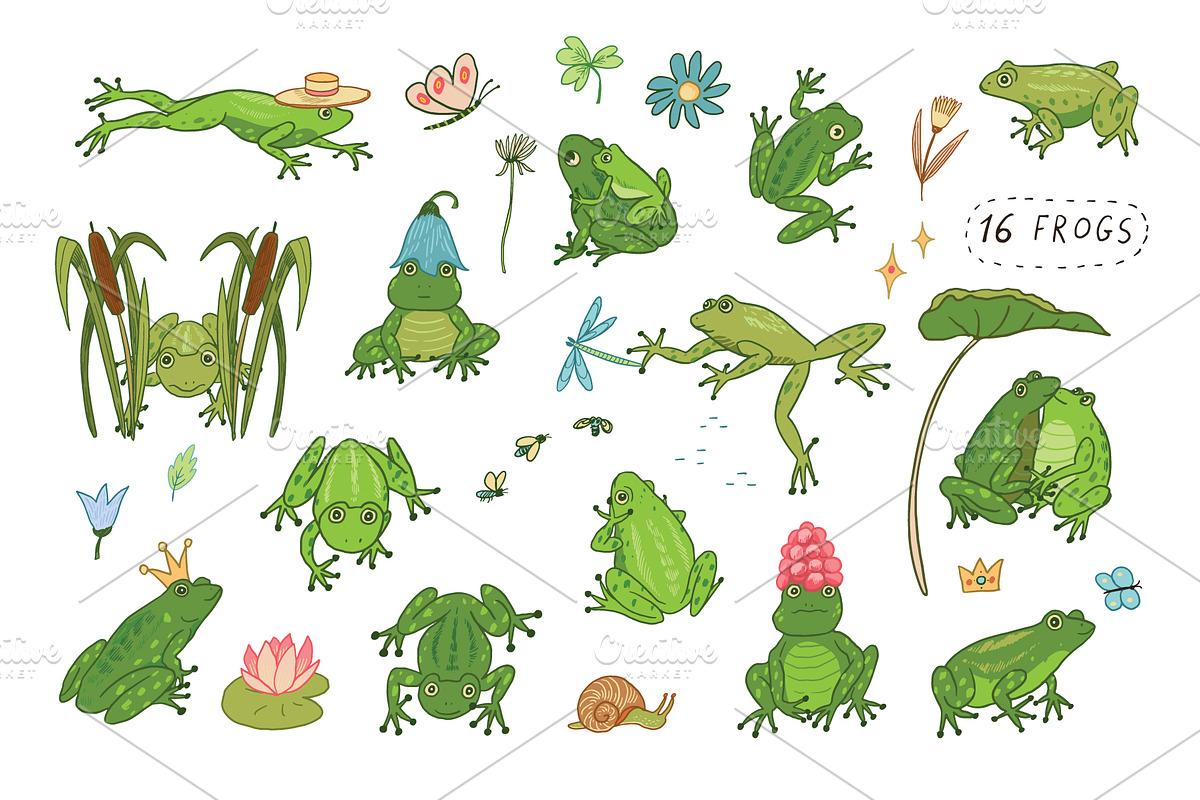 16 Frogs, an Animal Illustration by GooseFrol (Photo 1 of 11)