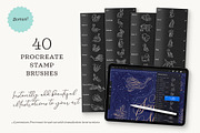 Animal Flourish Icons & Brushes, an Icon by Molly Suber Thorpe (Thumbnail 2 of 11)