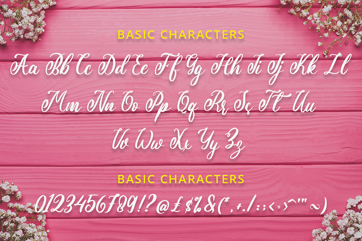 Script Font, a Script Font by Graphue (Photo 11 of 12)