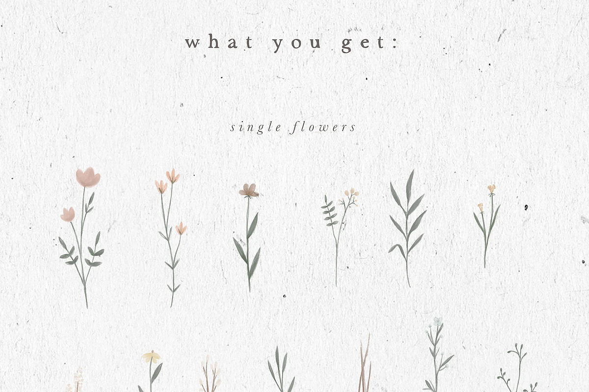 WILDFLOWER ILLUSTRATION / png, an Illustration by KruthDesign (Photo 2 of 4)