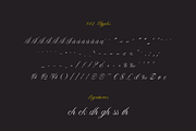 Paulette, script typeface, a Script Font by Rosario Nocera (Thumbnail 6 of 8)