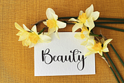Birthday Dream, a Handwritten Font by InermediaSTUDIO (Thumbnail 8 of 8)