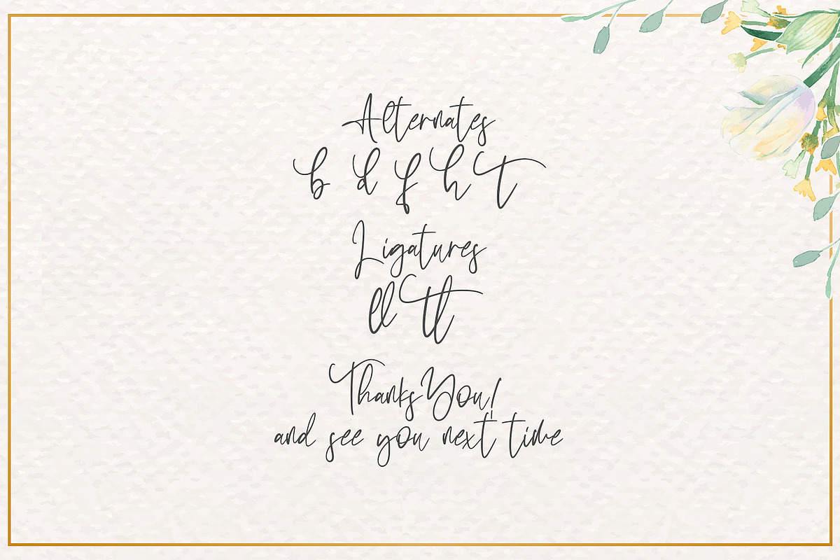 Sabina Angellica - Script Font, a Script Font by StringLabs (Photo 11 of 11)