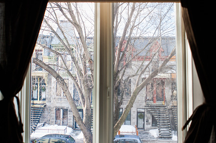 Window Looking Out on Tree Street