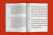 LEWISTON: A Serif Typeface, a Serif Font by Liszar Inzani (Thumbnail 4 of 13)