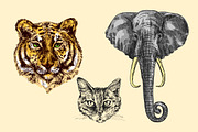 Boho animals 2, an Animal Illustration by Steshnikova (Thumbnail 5 of 6)