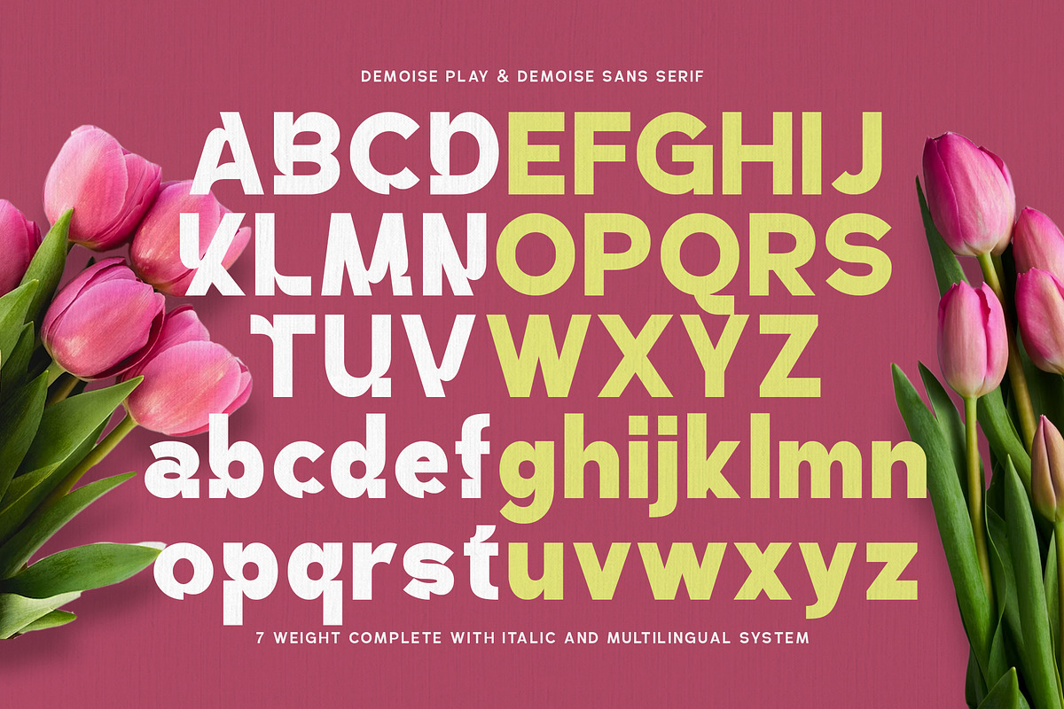 Demoise - 2 Font Styles (28 Fonts), a Sans Serif Font by Maculinc Type (Photo 8 of 9)