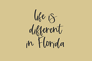 Tallahassee Script, a Script Font by Beck McCormick (Thumbnail 8 of 10)