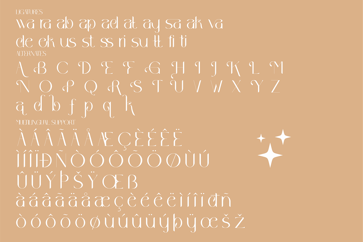 Wakile Stylish Serif Font, a Serif Font by Storytype Studio (Photo 8 of 9)