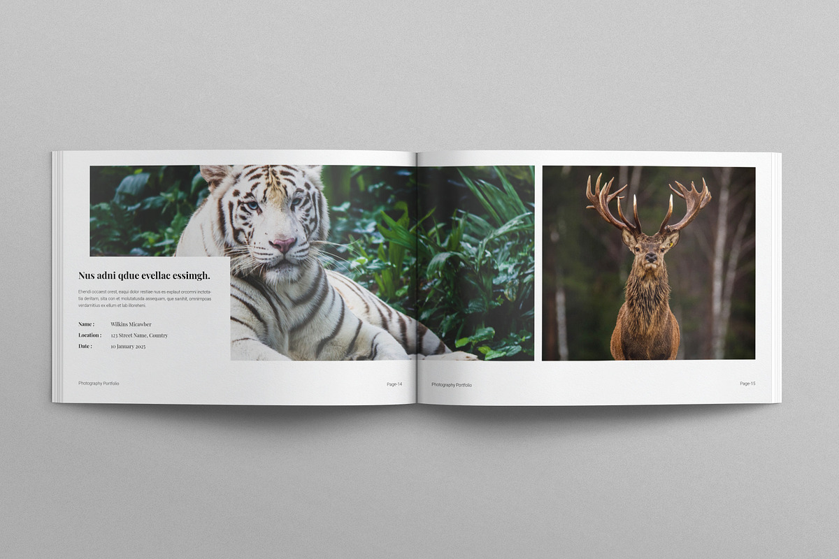 Photography Portfolio Landscape, a Brochure Template by E-Type (Photo 6 of 7)