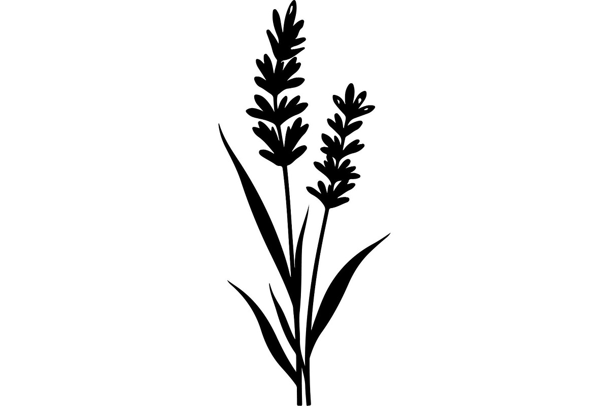 Decorative Tribal Feather Vector, an Object Graphic by Designer_Momina (Photo 9 of 18)
