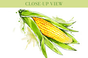 Watercolor Vegetables Set PNG, an Object Graphic by Elena Naumchenkova (Thumbnail 3 of 6)