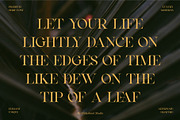 Qealiz || Elegant Serif Font, a Serif Font by Idea Studio (Thumbnail 9 of 10)
