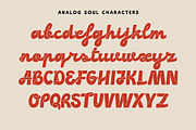 Analog Soul Branding Bold Script, a Script Font by Struvictory.art (Thumbnail 5 of 10)