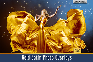 Gold Satin Photo Overlays