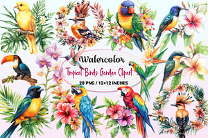 Tropical Birds Garden Clipart, a Graphic by CitraGraphics
