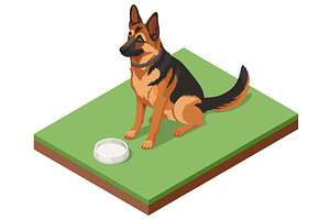 Isometric illustration of a German, an Animal Illustration by Golden Sikorka