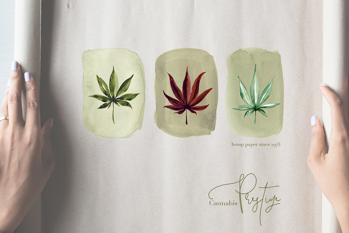 XL files - Watercolor Cannabis Set, an Object Graphic by Jeanina Vlad (Photo 14 of 17)
