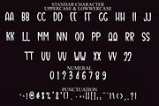 Miracle Ghost, a Serif Font by FreshTypeINK (Thumbnail 3 of 8)