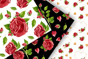 Watercolor pink and red roses, an Illustration by Valin Malin (Thumbnail 13 of 16)