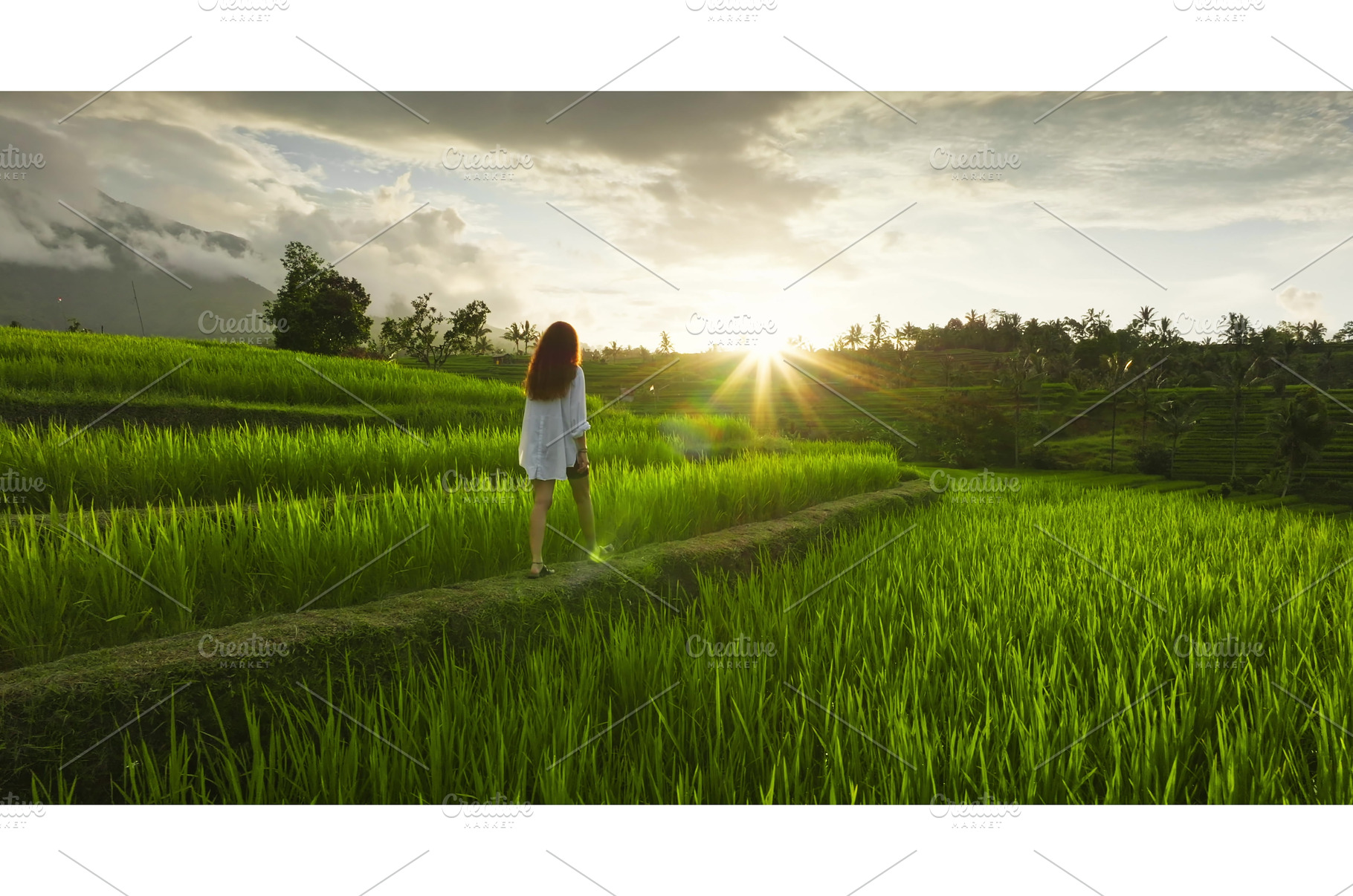 Woman walking along rice paddy, a Person Photo by Goinyk