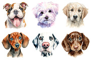 Colorful Baby Dog Face Sublimation, a Graphic by CitraGraphics (Thumbnail 3 of 4)