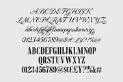 Lahgelsio Elegant Serif Script Duo, a Script Font by Maulana Creative (Thumbnail 6 of 7)