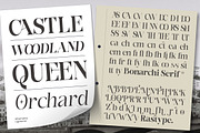 Bonarchi - Family Font, a Serif Font by Rastype (Thumbnail 4 of 10)