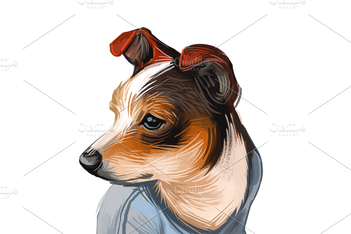 55 Dog Breeds Popular in USA, an Animal Illustration by Dneprstock (Photo 14 of 14)