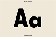 The Diverse Font Bundle, a Sans Serif Font by Bnick (Thumbnail 33 of 34)