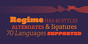 Regime, a Slab Serif Font by Barnbrook Fonts (Thumbnail 3 of 7)