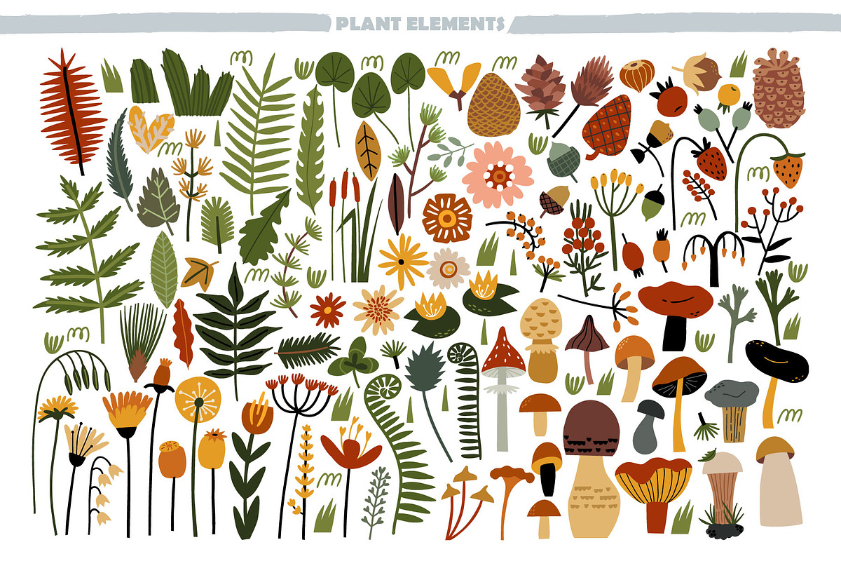 BIG FOREST