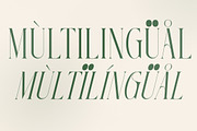 Georgiano Modern Serif Font, a Serif Font by Storytype Studio (Thumbnail 12 of 15)