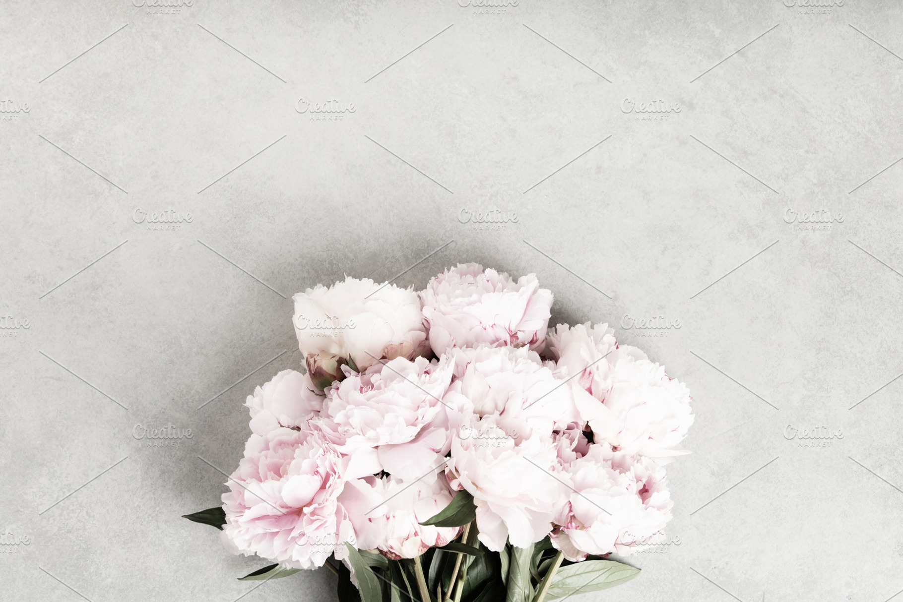 Bouquet of Light Pink Peonies on Gray Concrete Background, a Holiday Photo by Natalia Klenova's Shop