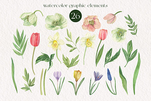 Spring Garden Flowers Watercolor