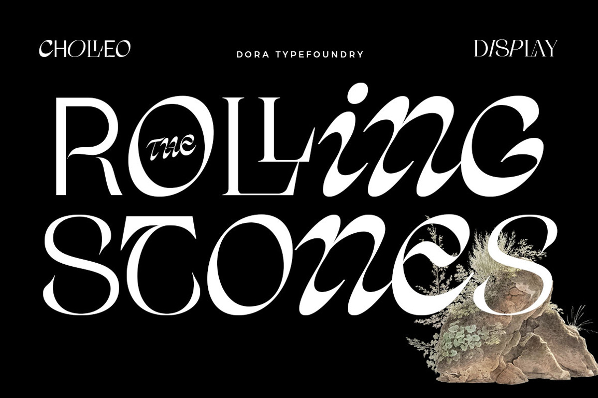 Cholleo Display, a Serif Font by Dora Typefoundry (Photo 11 of 18)