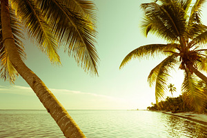 Vintage Tropical Beach Scene, a Photo by THP Creative