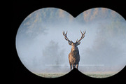 Binocular Photo Effect Template, a Social Media Template by DesignerCandies (Thumbnail 2 of 3)