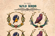 Wild Birds, an Animal Illustration by Ink Stories (Thumbnail 12 of 20)