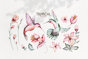 Tropical watercolor collection, an Animal Illustration by Peace ART (Thumbnail 2 of 16)
