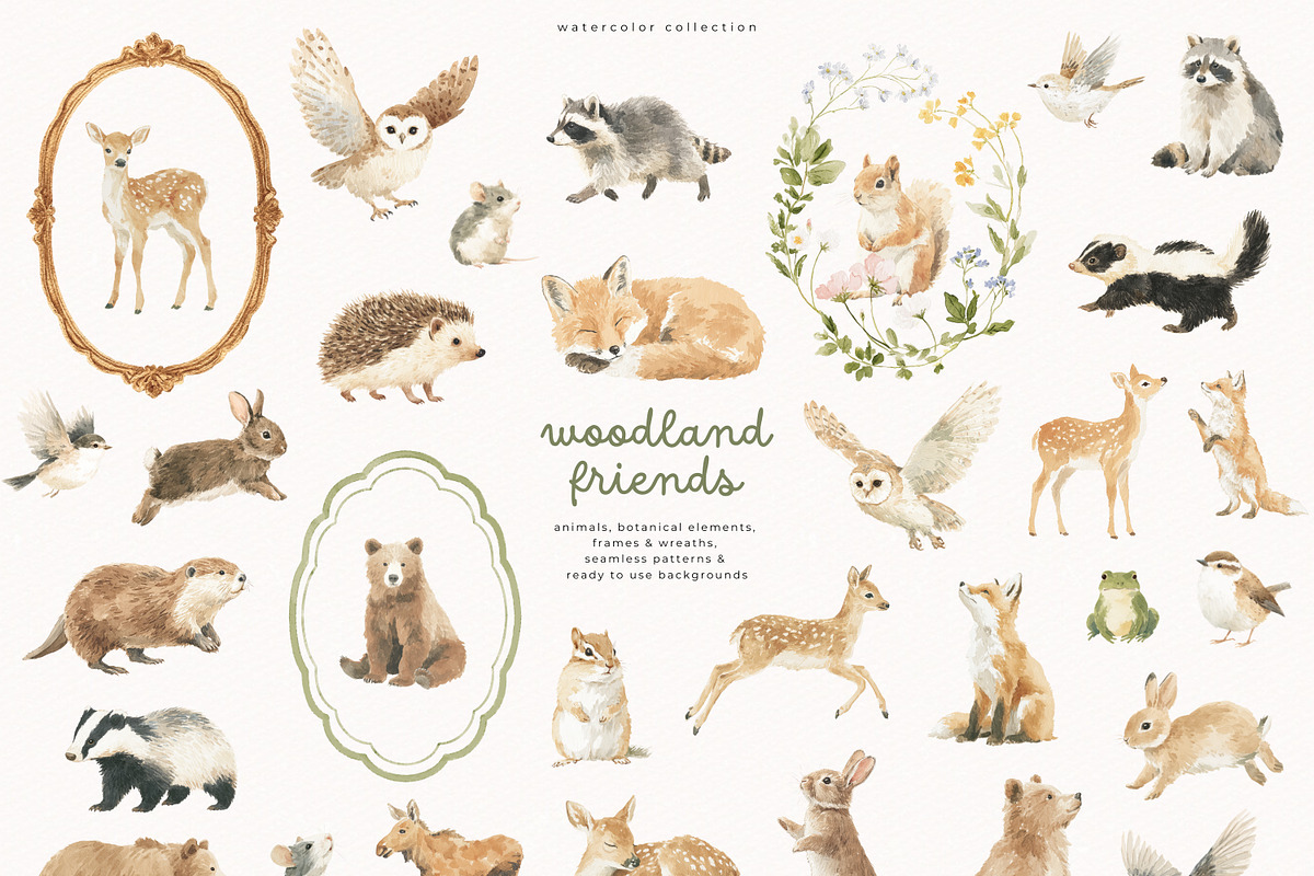 Woodland Friends, an Animal Illustration by PeDe Designs (Photo 3 of 8)