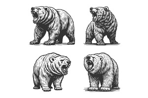 Roaring Bear engraving set vector, an Animal Illustration by AlexArt